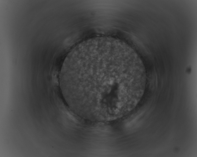 X0000091550770200708311353