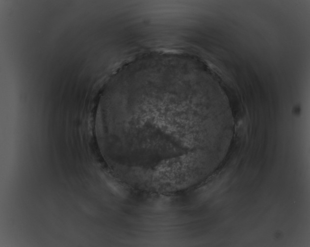 X0000091550772200708311353