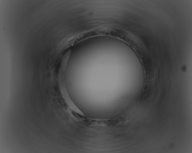 X0000091550773200708311353