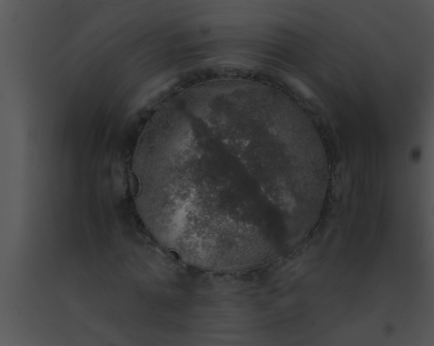 X0000091550774200708311353