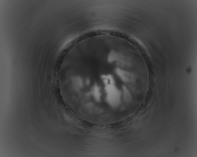X0000091550775200708311353