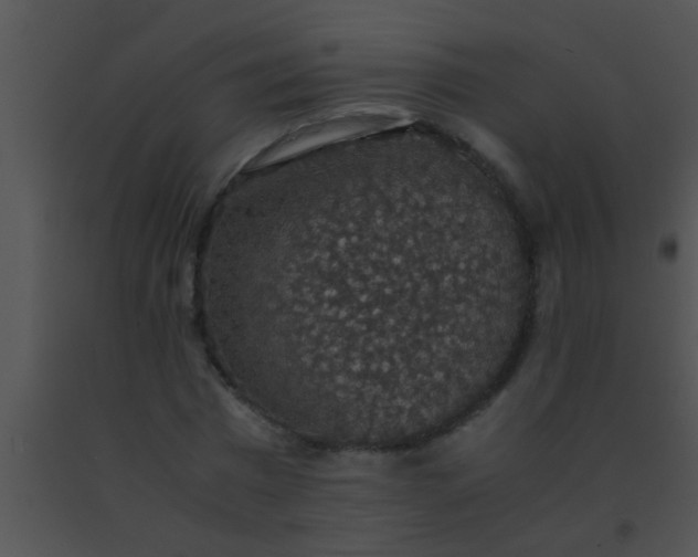 X0000091550777200708311353