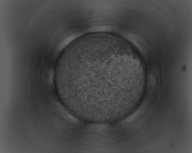 X0000091550778200708311353
