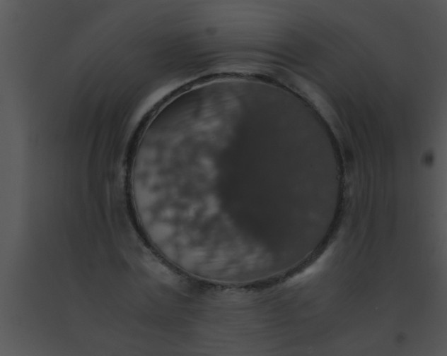 X0000091550779200708311353