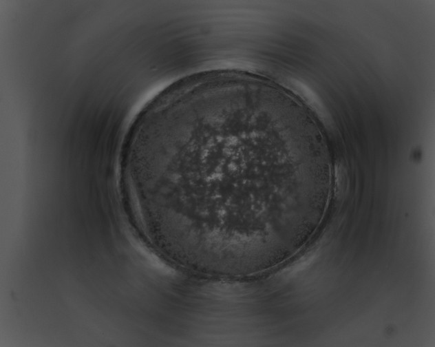 X0000091550780200708311353