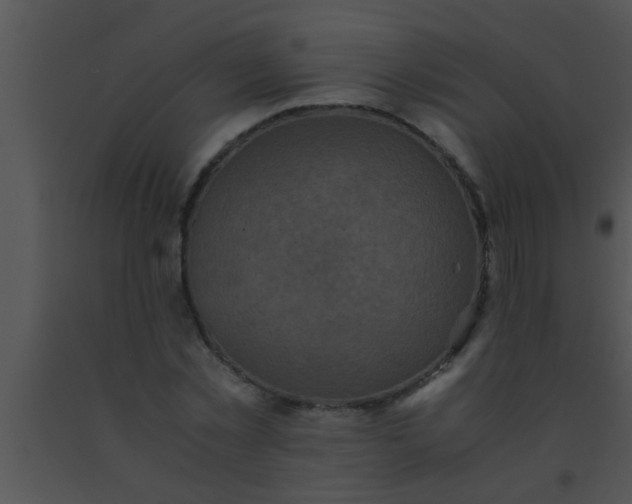 X0000091550781200708311353