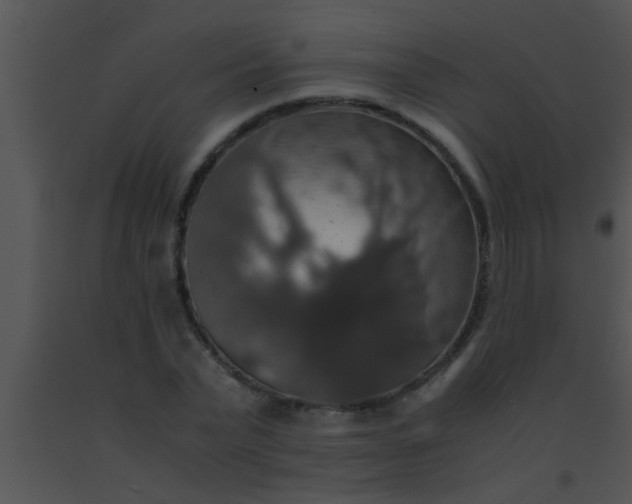 X0000091550783200708311353
