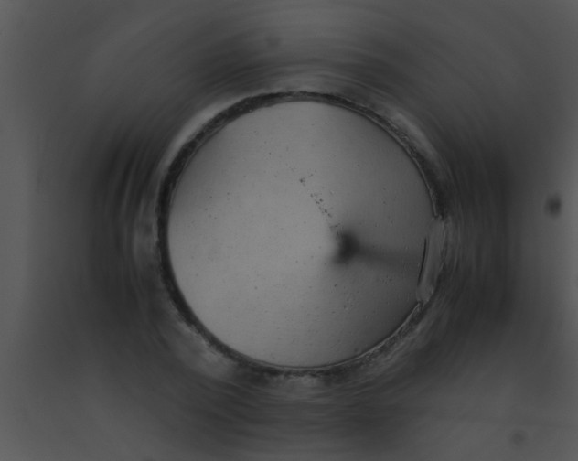 X0000091550784200708311353