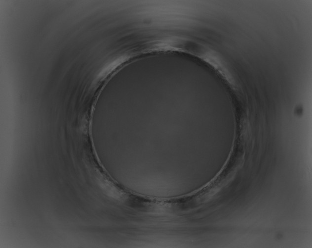 X0000091550785200708311353