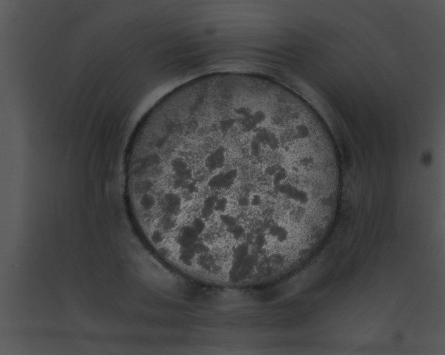 X0000091550787200708311353