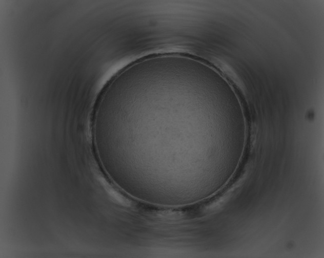 X0000091550789200708311353