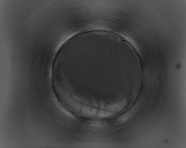 X0000091550790200708311353