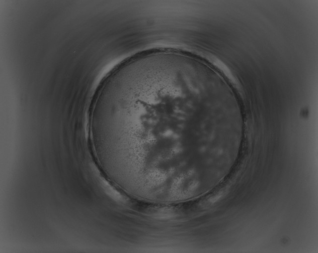 X0000091550791200708311353