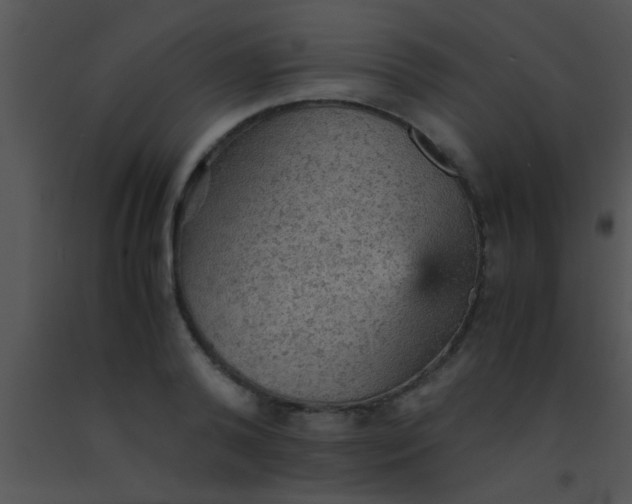 X0000091550792200708311353