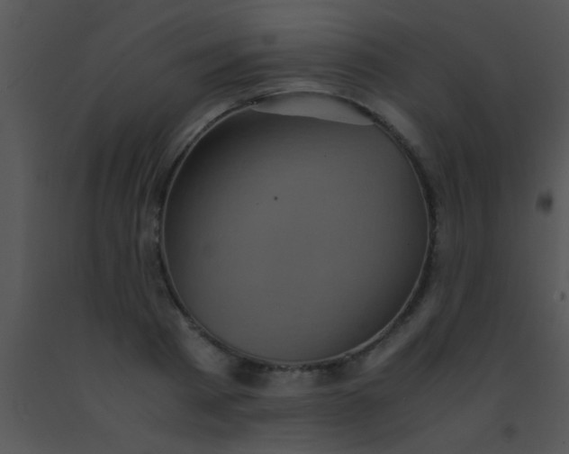 X0000091550793200708311353