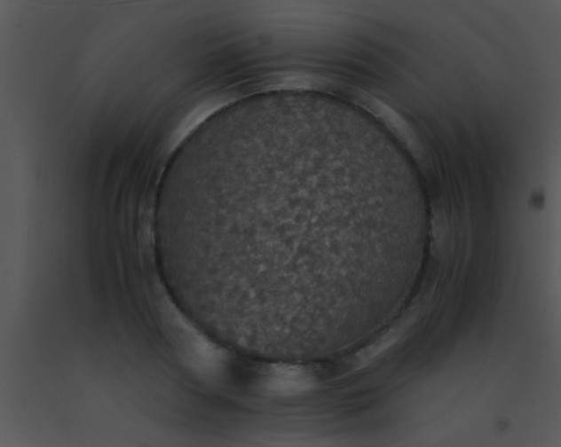 X0000091550794200708311353