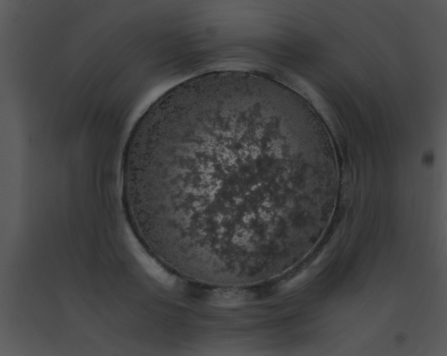 X0000091550795200708311353