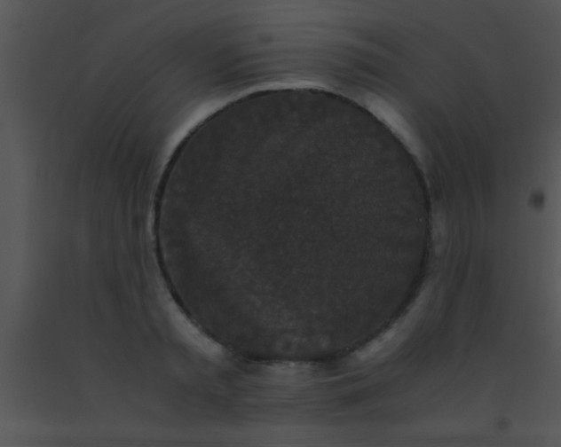 X0000091550797200708311353