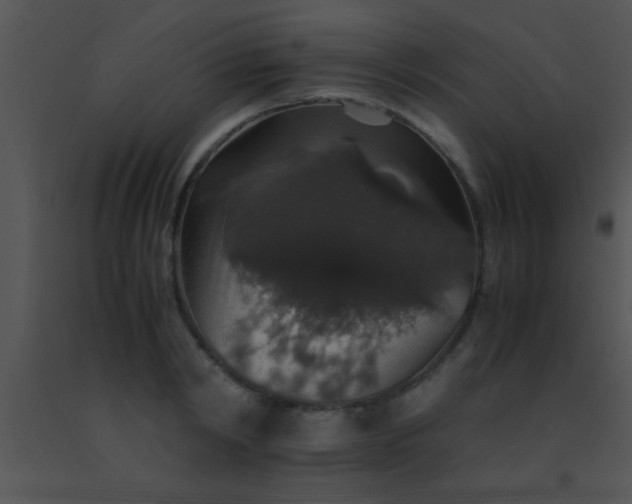 X0000091550798200708311353