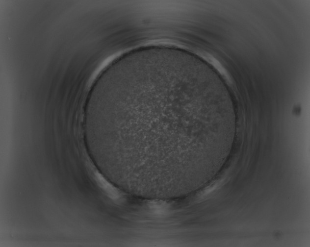 X0000091550799200708311353