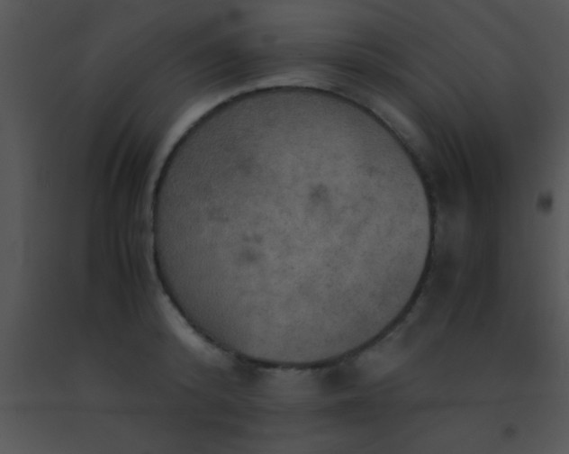 X0000091550800200708311353