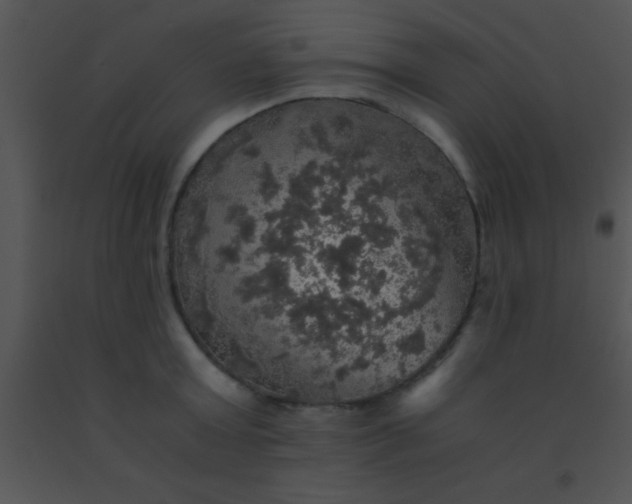 X0000091550803200708311353