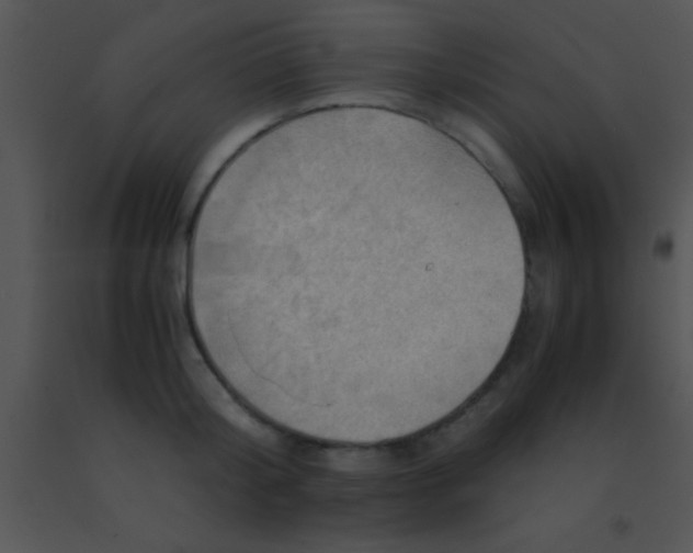 X0000091550804200708311353