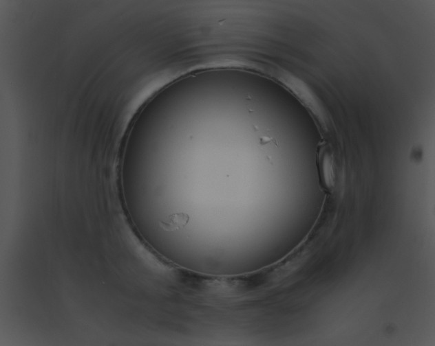 X0000091550805200708311353