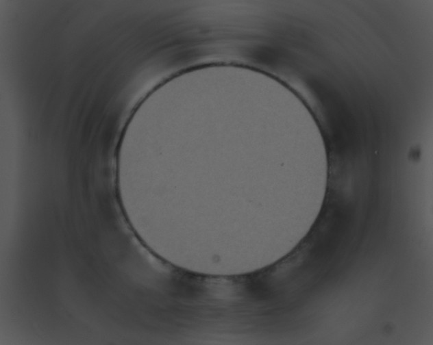 X0000091550807200708311353