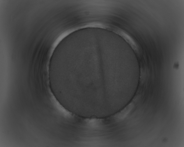 X0000091550808200708311353
