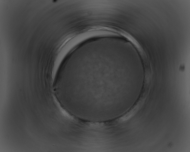 X0000091550809200708311353