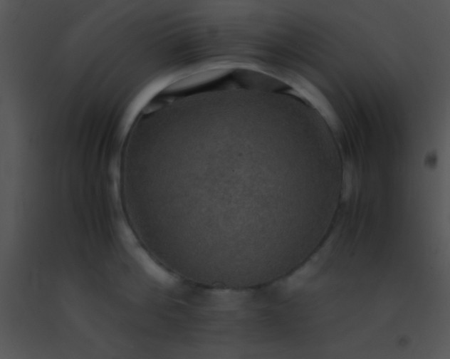 X0000091550812200708311353