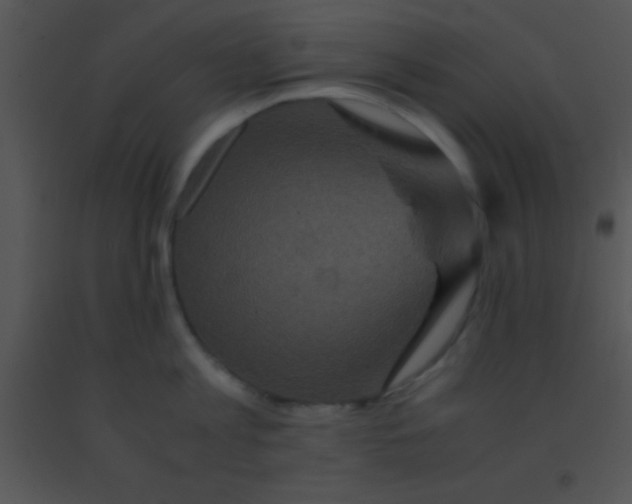 X0000091550813200708311353