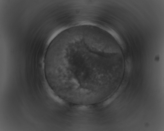 X0000091550814200708311353