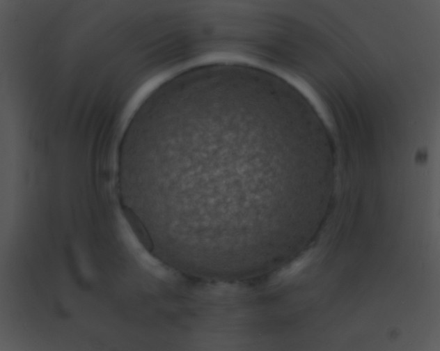 X0000091550815200708311353