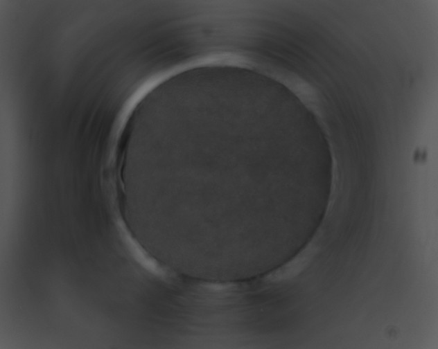 X0000091550816200708311353
