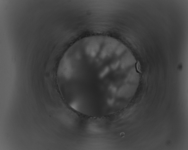 X0000091550817200708311352