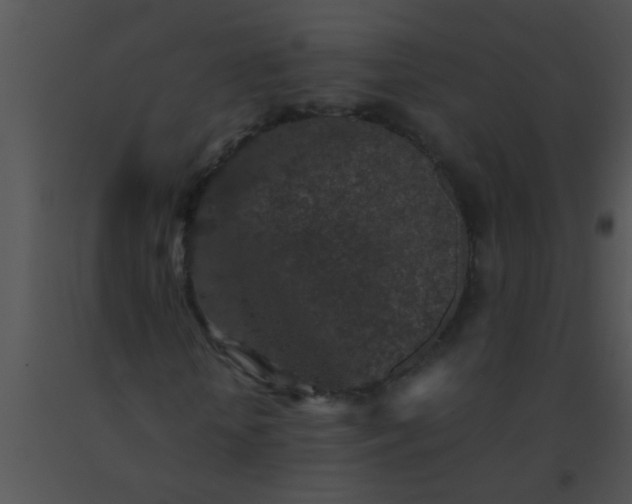 X0000091550818200708311352