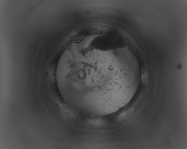 X0000091550819200708311352