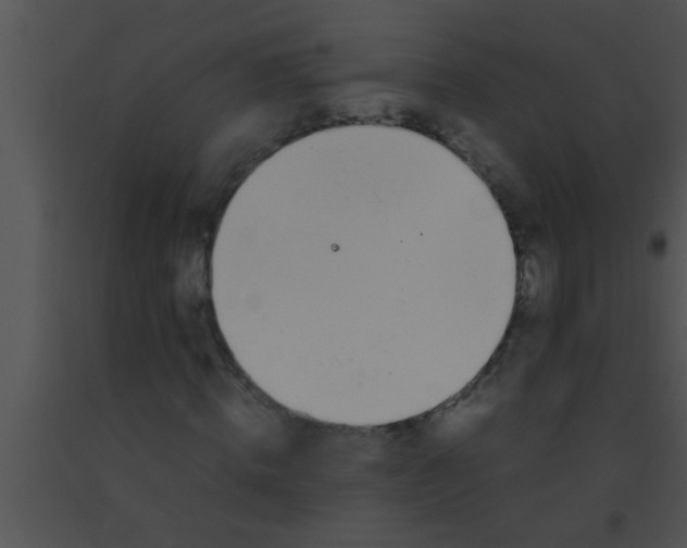 X0000091550820200708311352