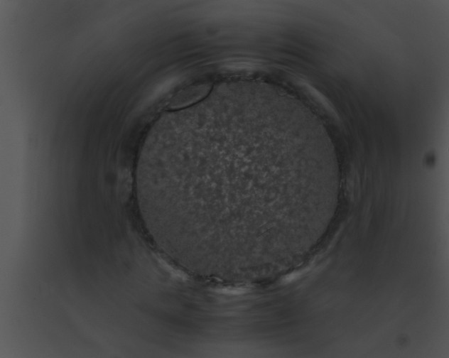 X0000091550821200708311352