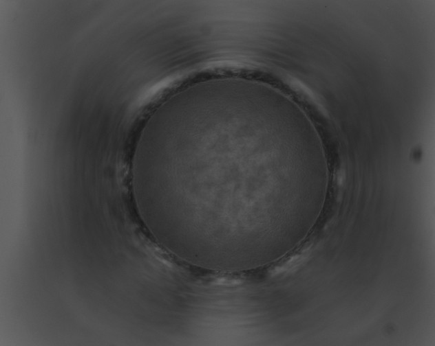 X0000091550822200708311352