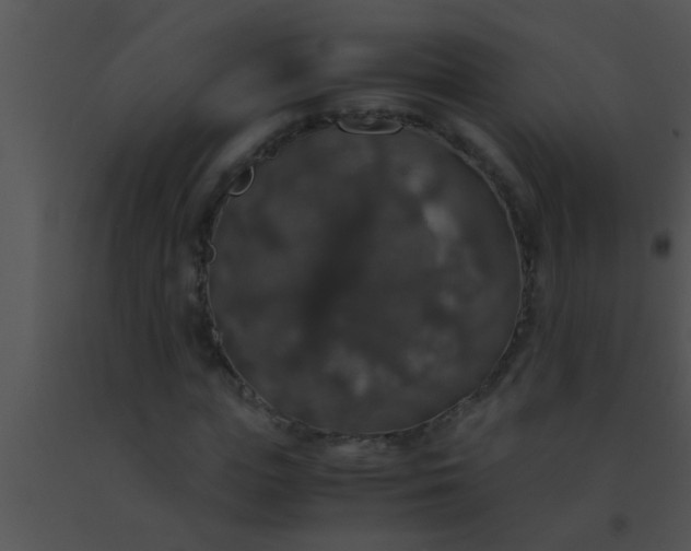 X0000091550823200708311352