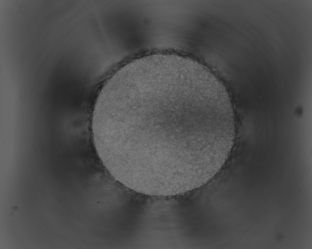 X0000091550824200708311352
