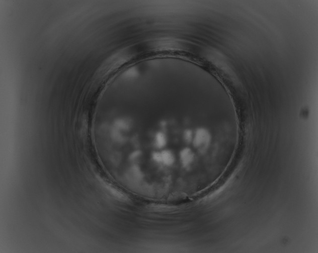 X0000091550825200708311352