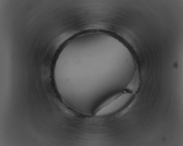 X0000091550826200708311352