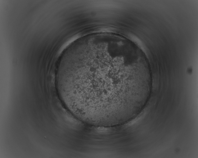 X0000091550827200708311352