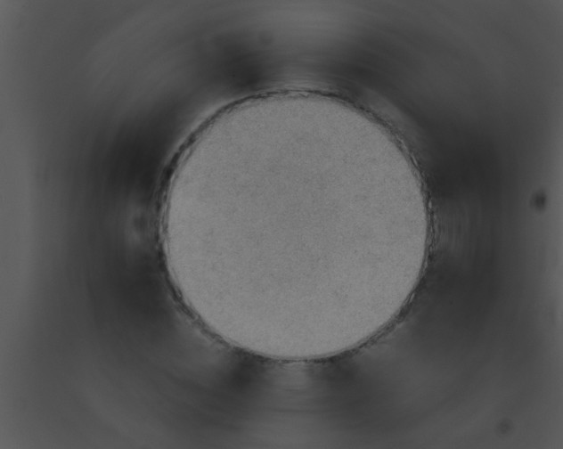 X0000091550828200708311352