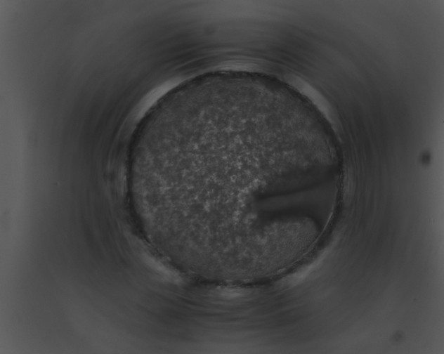 X0000091550829200708311352