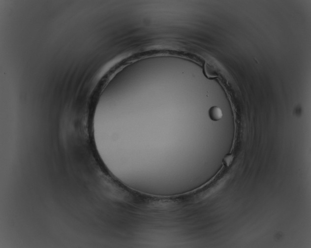 X0000091550830200708311352